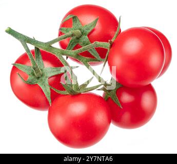 Kleiner Zweig reifer Kirschtomaten isoliert auf weißem Hintergrund. Stockfoto