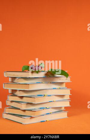 Ein ordentlicher Stapel von Büchern, die mit dekorativen Blättern und Beeren auf orangefarbenem Hintergrund verziert sind, das Konzept von Schule und Lernen Stockfoto