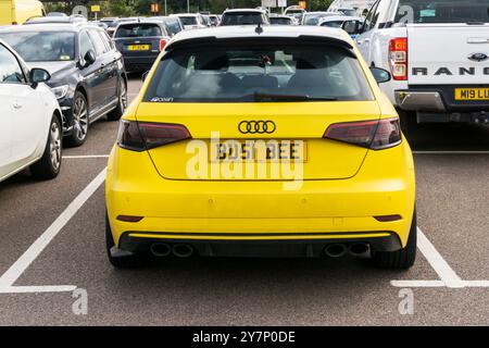 Ein personalisiertes Autokennzeichen, auf dem sich VIEL BESCHÄFTIGTE BIENEN gut lesen lassen. Stockfoto