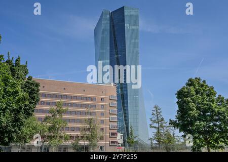 Europäische Zentralbank EZB, Hauptgebäude, Hauptsitz, Sonnemannstraße, Ostende, Frankfurt am Main, Hessen, Deutschland, Europäische Zentralbank EZB, Haup Stockfoto