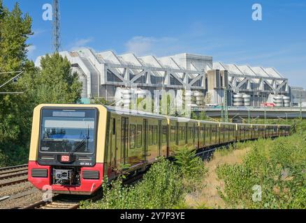 Ringbahn, S-Bahn vor dem Bahnhof Westkreuz, ICC, Westend, Charlottenburg, Berlin, Deutschland, S-Bahn vor dem Bahnhof Westkreuz, Deutschland Stockfoto