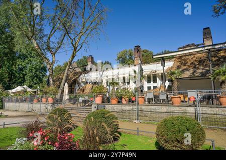 Ruine, ausgebranntes Teehaus, Englischer Garten, Park, großer Tiergarten, Tiergarten, Mitte, Berlin, Deutschland, Ruine, ausgebranntes Teehaus, englischer Garte Stockfoto