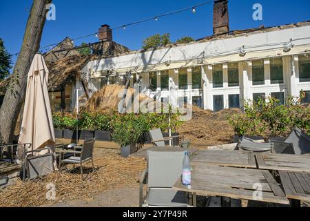 Ruine, ausgebranntes Teehaus, Englischer Garten, Park, großer Tiergarten, Tiergarten, Mitte, Berlin, Deutschland, Ruine, ausgebranntes Teehaus, englischer Garte Stockfoto