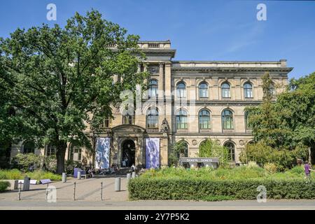 Naturkundemuseum, Invalidenstraße, Mitte, Berlin, Deutschland, Museum für Naturkunde, Deutschland Stockfoto