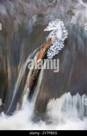 Ein Zweig steht teilweise in einem strömenden Bach in Schweden, der mit komplexen Eisformationen geschmückt ist, die durch die Temperaturen und Strömungen entstehen Stockfoto