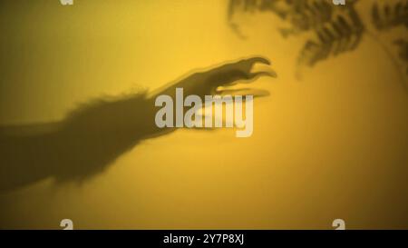 Schatten von Werwolfhänden mit Fell und schwarzen Krallen auf gelbem Hintergrund. Die Hand reicht aus, und der Schatten ist dunkel. Gruselige Klaue des Werwolfs, wol Stockfoto