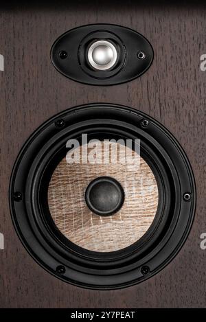 Lautsprechermonitor aus braunem Walnussholz aus massivem Naturholz. 2-Wege-Lautsprecher (6,5'' Woofer mit Aluminium-Magnesium-Hochtöner) Stockfoto