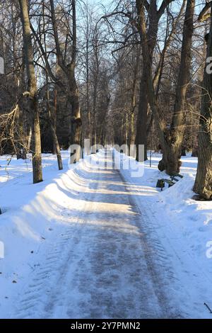 Fußgängerzone in einem Winterpark, beleuchtet von der Morgensonne Stockfoto