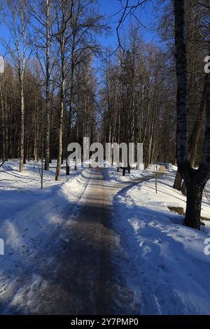 Eine Abzweigung in der Straße von den Fußwegen im Winterpark in der frühen morgendlichen vertikalen Ausrichtung Stockfoto