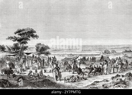 Markt in Sokoto, Nigeria, Westafrika. Zeichnung von Auguste Hadamard (1823–1886) Reisen und Entdeckungen in Nord- und Zentralafrika, 1849-1855 von Heinrich Barth (1821–1865) Le Tour du Monde 1860 Stockfoto