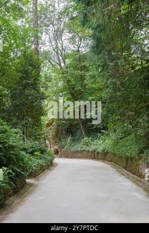 Sintra, Portugal, 8. August 2024: Quinta da Regaleira, eine der wichtigsten Touristenattraktionen von Sintra. Bewaldete Wege Stockfoto