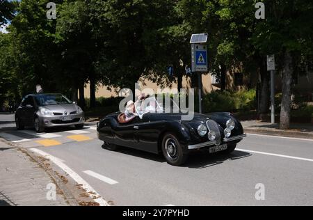 Klassischer Jaguar XK120 Roadster-Sportwagen, der 2024 durch Castellina in Chianti, Italien, fährt Stockfoto