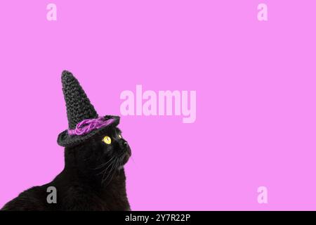 Schwarze Katze mit gelben Augen in einem schwarzen gestrickten Hexenhut auf lila Hintergrund mit Platz für Text. Halloween-Konzept Stockfoto