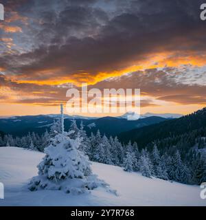 Fantastischer orangener Sonnenuntergang in verschneiten Bergen. Winterlandschaft mit schneebedeckten Bäumen und schneebedeckten Gipfeln. Weihnachtsferienkonzept Stockfoto