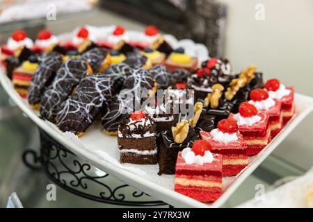 Reihen von verschiedenen kleinen schmackhaften Gourmet-Desserts auf der Ausstellung Stockfoto