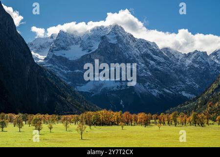 Die herbstlichen Ahornbäume auf dem großen Ahornboden vor schneebedeckten Felswänden und einem Wolkenband über den Gipfeln des Karwendels Stockfoto