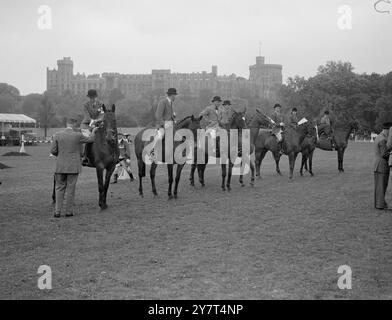 DIE WINDSOR HORSE SHOW WIRD in Anwesenheit von Prinzessin Elizabeth und dem Duke of Edinburgh ERÖFFNET , die dreitägige Royal Windsor Horse Show wurde heute im Royal Park am Windsor Castle eröffnet . Mehr als tausend Pferde werden während der Show in den Ring gehen. DAS BILD ZEIGT:- die Verleihung der Auszeichnungen in der Klasse I ( Leichter Hunter ) . Auf der linken Seite befindet sich das Royal Realm mit Miss PATRICIA COPE im Sattel , die mit der Siegerrosette überreicht wird . 12. MAI 1949 Stockfoto