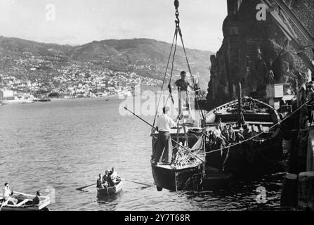 Der 38-jährige Ex-Ingenieur BEN Carlin Elinore IM Alter von 32 Jahren erreichte Madeira im amphibischen Jeep nach einer Transatlantikreise , die am 19 . Juli in Halifax in Nova Scotia begann . Etwa 200 Meilen vor Madeira sendeten sie Notsignale aus, als Sturm drohte, sie vom Kurs zu sprengen. Dies war ihr dritter Versuch auf dem Atlantik - als erster Teil einer Flitterwochenreise um die Welt, die 1948 begann . Beim ersten Versuch wurden sie von einem Tanker abgeholt. Ihr 24-Fuß-Jeep hat ein kleines Segel, zusätzliche Benzintanks A Stockfoto