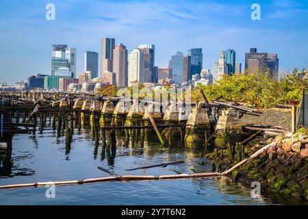 Blick auf die Skyline von Boston vom Piers Park, Massachusetts, USA Stockfoto