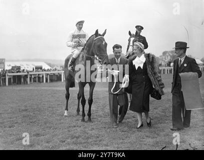 Am 26. Mai 1950 gewann Amour Drake, im Besitz von Mme L Volterra aus Frankreich und geritten von R Poincelet, heute (Freitag) den Coronation Cup in Epsom, Surrey, mit Mr. G Gibsons Iron Duke, geritten von D Smith Zweiter und Mr. J McLeans Flush Royal, geritten von E Britt, Dritter. Amour Drake wurde von Nimbus im spannenden Finale des letzten Jahres Derby knapp auf den zweiten Platz geschlagen. Das Bild zeigt: Frau L Volterra aus Frankreich führt heute in ihrem Sieger des Krönungspokals Amour drake in Epsom an. Rising Amour Darke ist R Poincelet. Stockfoto