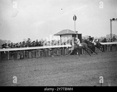 DIE GOLDEN ROAD ZUM SIEG, die von Menschenmassen beobachtet wurde, die dem Wetter trotzten, gewann Sir Percy Loraine's Golden Road, geritten von Gordon Richards, heute (Ostermontag) die Coventry Fohlen Stakes im Kempton Park. Die Golden Road wird sowohl für die 2000 Guineas als auch für das Derby stark bevorzugt. Der zweite war der Khorassan des Aga Khan, D Smith, der dritte war Mr. Harry 'Jim' Joel's Blackfin, E Smith Up. 9. April 1950 Stockfoto