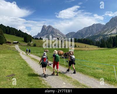 Wanderer in den Dolomiten im Pustertal. Im Hintergrund der Großen und Kleinen Peitlerkofel. Stockfoto