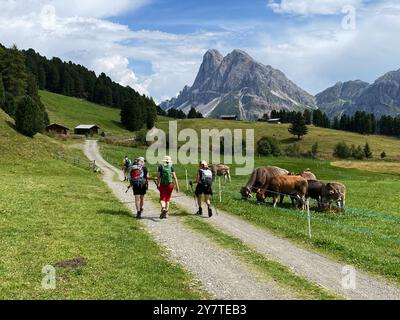 Wanderer in den Dolomiten im Pustertal. Im Hintergrund der Großen und Kleinen Peitlerkofel. Stockfoto