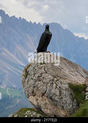 Das Christomannos Denkmal auf dem Hirzelsteig Stockfoto