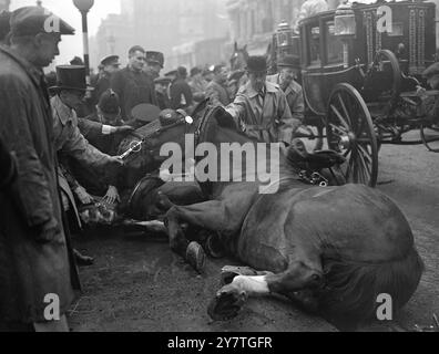 PFERDE FALLEN ALS PENSIONIERENDER LORD MAYOR FAHRTEN IN LORD MAYOR ZEIGEN die Szene, in der man versucht, Pferde aufzuziehen, die in der Queen Victoria Street, E.C., gestolpert und gefallen sind. Heute, als sie die staatliche Kutsche des pensionierenden Lord Mayor ziehen. Alderman Sir George Aylwen, in der Schauprozession des Lord Mayor zu den königlichen Justizgerichten in der Strange. Die vier Pferde zogen die Kutsche – es wird berichtet, dass sie in die Zuschauermenge geschoben haben. Der Vorfall ereignete sich nach starkem Regen. 9. November 1949 Stockfoto