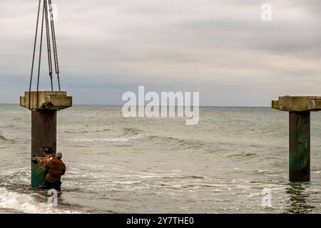 30.09.2024 die Seebrücke im Ostseebad Rerik im Landkreis Rostock in Mecklenburg-Vorpommern, wird zurzeit abgebaut. Ein Kran hatte heute diesen ersten Pfeiler aus dem Wasser ans Land gebracht. Zahlreiche Schaulustige verfolgten vorher das Spektakel, als ein Schweißer die Metallkonstruktion eines Peeilers durchtrennte. Die Brücke war seit vier Jahren wegen massiver Schäden gesperrt. Die Sanierung ließ sich auf sich warten. 2025 soll sterben 170 Meter lange Brücke wieder für die Öffentlichkeit freigegeben werden. Rerik haffanleger Mecklenburg-Vorpommern Deutschland *** 30 09 2024 der Pier in der Ostsee Stockfoto