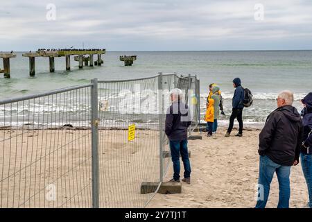 30.09.2024 die Seebrücke im Ostseebad Rerik im Landkreis Rostock in Mecklenburg-Vorpommern, wird zurzeit abgebaut. Ein Kran hatte heute einen ersten Pfeiler aus dem Wasser ans Land gebracht. Zahlreiche Schaulustige verfolgten vorher das Spektakel, als ein Schweißer die Metallkonstruktion eines Peeilers durchtrennte. Die Brücke war seit vier Jahren wegen massiver Schäden gesperrt. Die Sanierung ließ sich auf sich warten. 2025 soll sterben 170 Meter lange Brücke wieder für die Öffentlichkeit freigegeben werden. Rerik haffanleger Mecklenburg-Vorpommern Deutschland *** 30 09 2024 der Pier in der Ostsee Stockfoto