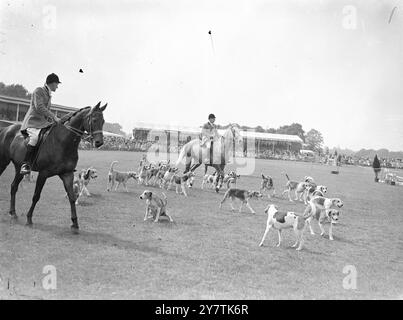 Hunde im Ring die Old Surrey und Burstow Fox Hounds unter Huntsman Jack Champion ziehen durch den Ring bei der Richmond (Surrey) Royal Horse Show. Diese Paraden verschiedener britischer Rudel sind Teil der dreitägigen Show vom 10. Juni 1949 Stockfoto