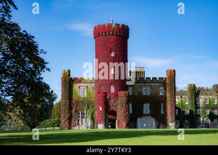 Roter Turm. Virgina Creeper (Parthenocissus quinquefolia) wächst in Swinton Park Hotel, Swinton Park, Masham, North Yorkshire, Großbritannien auf Stockfoto