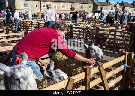 Schaf. Masham Sheep Fair, Masham, in der Nähe von Ripon, North Yorkshire, Großbritannien Stockfoto