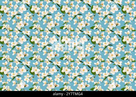 Blumenhintergrund. Zarte Jasminblüten auf blauem Hintergrund, wiederholtes Muster. Perfekt für Hochzeitskarten, Einladungen, Tapeten, Stoffdesign, W Stockfoto