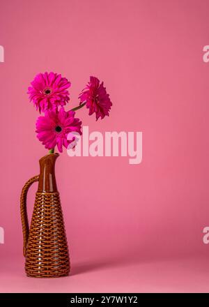 Drei rosa Blumen in hoher Vase auf rosa Hintergrund. Zarte Blume aus rosa Gänseblümchen, Gerbera. Stillleben. Kopierbereich. Stockfoto