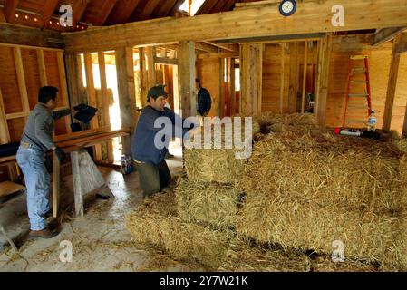 Cazadero, Kalifornien -- (von links nach rechts) Russ Gonzales und James Yates aus San Francisco, Kalifornien, stapeln Strohballen in einem traditionellen Cotswald Cottage aus Strohballen am Sonntag, 28. April 2002. Strohballen werden für den Bau eines ansonsten traditionellen Cotswaldhauses verwendet, das in den Hügeln des Sonoma County hinaufgeht. Das Haus mit zwei Schlafzimmern und zwei Badezimmern, das für James Yates gebaut wird, verfügt über Reistrohballen, die auf der Außenseite des Hauses gestapelt und dann mit einer dicken Schicht Gipskement beschichtet sind. Häuser mit Strohballen-Komponenten sind bei Menschen immer beliebter geworden Stockfoto