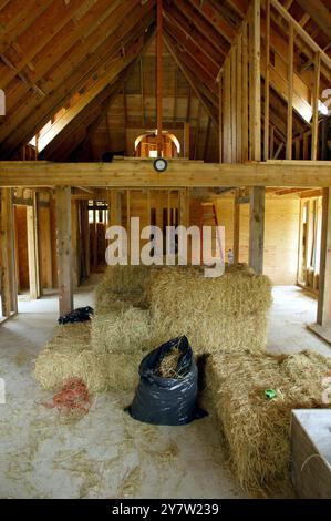 Cazadero, Kalifornien - Strohballen werden für den Bau eines ansonsten traditionellen Cotswald Cottages verwendet, das in den Hügeln des Sonoma County hinaufgeht. Das Haus mit zwei Schlafzimmern und zwei Badezimmern, das für James Yates aus San Francisco gebaut wird, verfügt über Reistrohballen, die auf der Außenseite des Hauses gestapelt und dann mit einer dicken Schicht Gipskement beschichtet sind. Häuser mit Strohballen-Komponenten werden immer beliebter bei Menschen, die nach erschwinglichem Wohnraum und Luxus suchen. Foto am Sonntag, 28. April 2002. Stockfoto