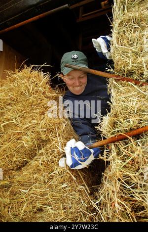 Cazadero, Kalifornien --Janet R.. Johnston, ein Architekt mit geschickten Mitteln, stapelt Strohballen am Sonntag, den 28. April 2002, in den Wänden eines Schlafzimmers eines traditionellen Cotswaldhauses aus Strohballen. Strohballen werden für den Bau eines ansonsten traditionellen Cotswaldhauses verwendet, das in den Hügeln des Sonoma County hinaufgeht. Das Haus mit zwei Schlafzimmern und zwei Badezimmern, das für James Yates aus San Francisco gebaut wird, verfügt über Reistrohballen, die auf der Außenseite des Hauses gestapelt und dann mit einer dicken Schicht Gipskement beschichtet sind. Häuser mit Strohballen-Komponenten sind zunehmend größer geworden Stockfoto