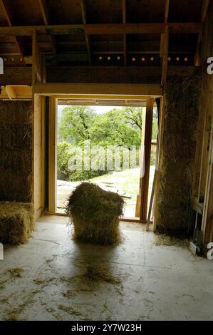 Cazadero, Kalifornien - Strohballen werden für den Bau eines ansonsten traditionellen Cotswald Cottages verwendet, das in den Hügeln des Sonoma County hinaufgeht. Das Haus mit zwei Schlafzimmern und zwei Badezimmern, das für James Yates aus San Francisco gebaut wird, verfügt über Reistrohballen, die auf der Außenseite des Hauses gestapelt und dann mit einer dicken Schicht Gipskement beschichtet sind. Häuser mit Strohballen-Komponenten werden immer beliebter bei Menschen, die nach erschwinglichem Wohnraum und Luxus suchen. Foto am Sonntag, 28. April 2002. Stockfoto