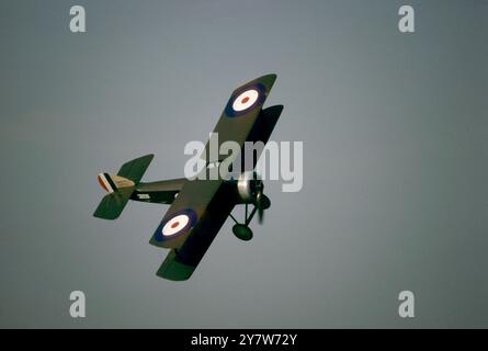 Sopwith Pup Stockfoto