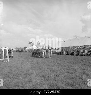 The Edenbridge and Oxted Show - 2. August 1960 die starke Beteiligung von Messrs. Fremlins Ltd. Mit ihren grauen Wallach-Kredit: John Topham / TopFoto Stockfoto