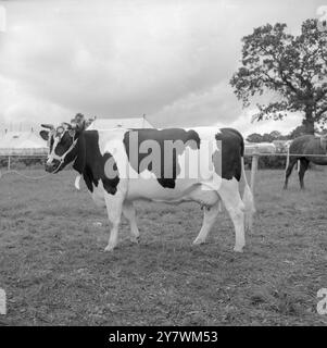 Die Edenbridge and Oxted Show - 2. August 1960 Championship Dairy Female ging zu Pride and Clarkes Nortoft Maxina Dance, einem britischen Fresian aus Crowhurst, Sussex Credit: John Topham / TopFoto Stockfoto