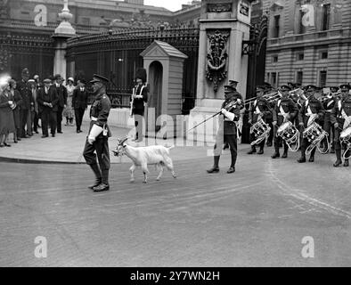 1 . Bataillon Royal Welch Fusiliers und ihre Maskottziege im Buckingham Palace , London , England . 5. Juli 1932 Stockfoto