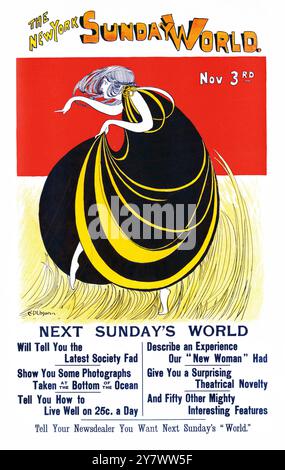 The New York Sunday World, 3. November 1895 - eine junge Frau in einem schwarz-goldenen Kleid, die durch hohes Gras als illustriertes Cover für die New York Sunday World fährt Stockfoto