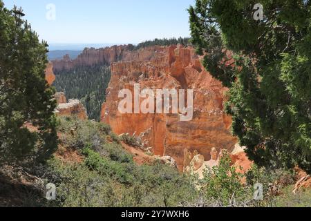 Blick auf geologische Kräfte, die Schichten in Hoodoos verwittern, vom Agua Canyon Overlook, Bryce Canyon National Park, SE Utah. Stockfoto