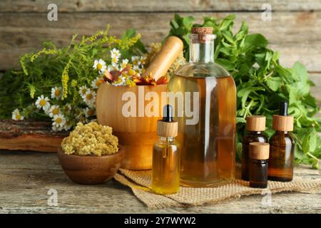 Tinkturen in Flaschen, Heilkräuter und Mörtel mit Stößel auf Holztisch Stockfoto