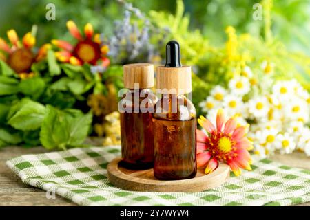 Tinkturen in Flaschen und Heilkräuter auf Holztisch Stockfoto