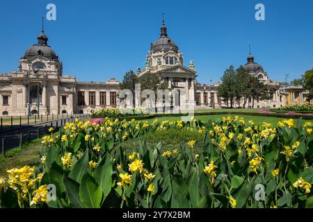 Gärten und Gebäude der Széchenyi Therme im Stadtpark in Budapest, Ungarn Stockfoto