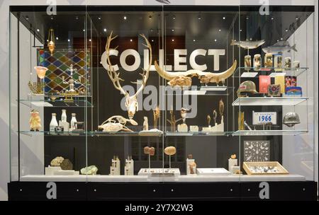 Vitrine mit einer Sammlung von Tierschädeln, alten Töpferwaren, Buntglas und handgefertigten Kunstwerken. Stockfoto